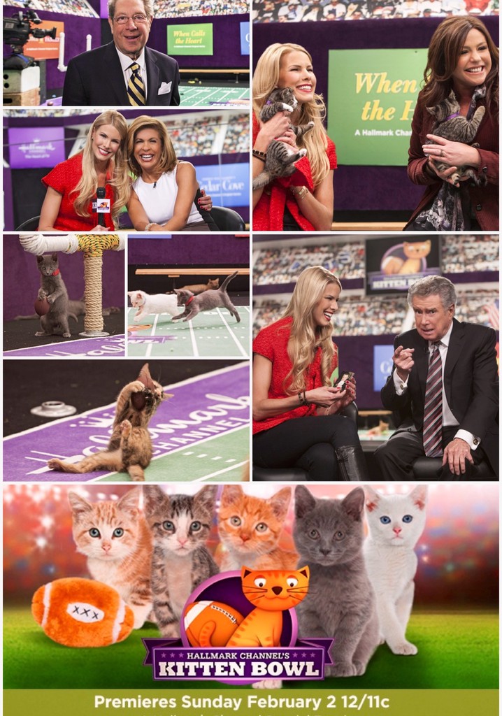 Kitten Bowl streaming where to watch movie online?